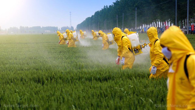 Pesticides: The Ingredient Left Off of Your Food Labels