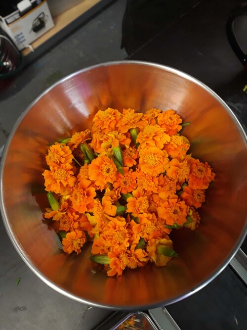 Nutrition During the Golden Years: 7 Awesome Meal Ideas for Elderly Parents