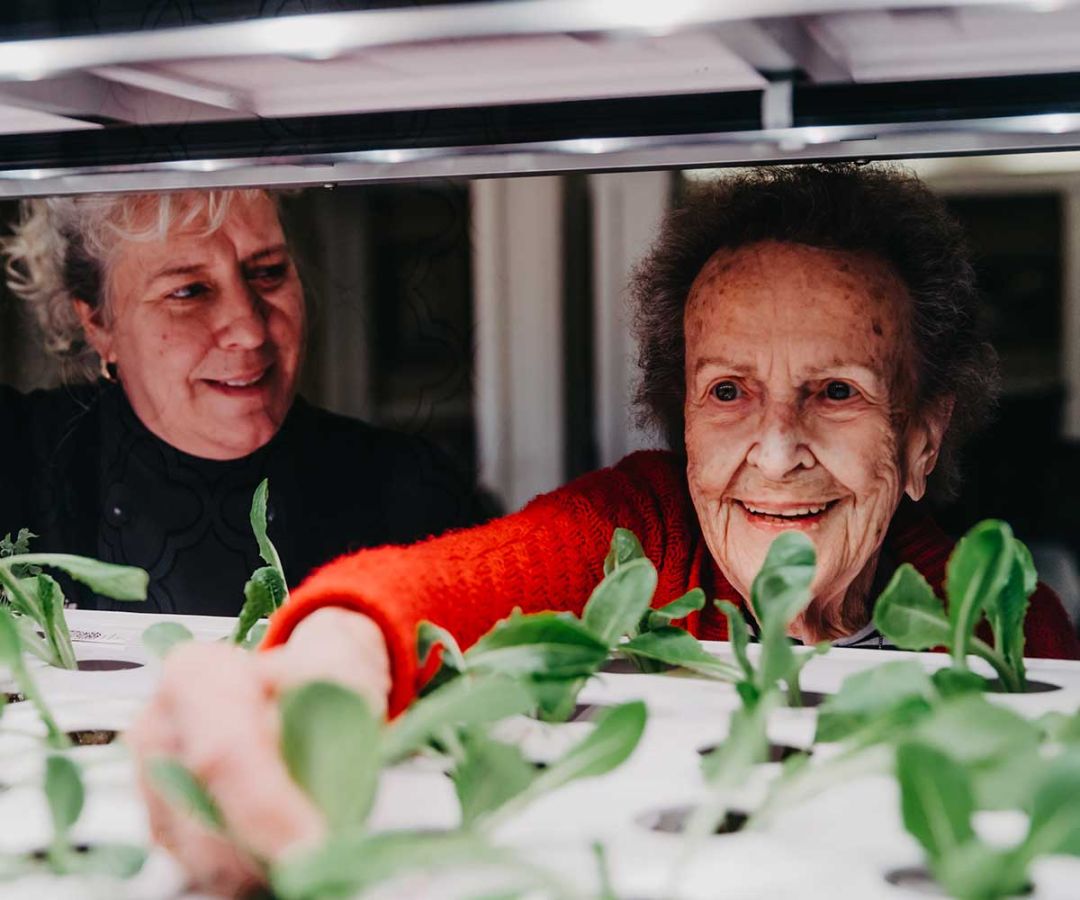 Senior living resident helping to harvest from indoor farm