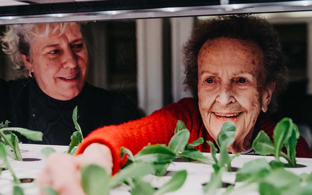 Discover 5 Creative Dining Trends in Senior Living