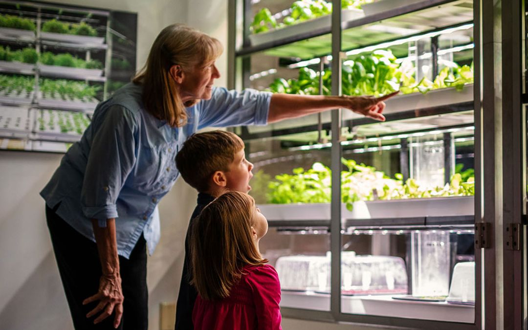 Bringing the Farm Indoors