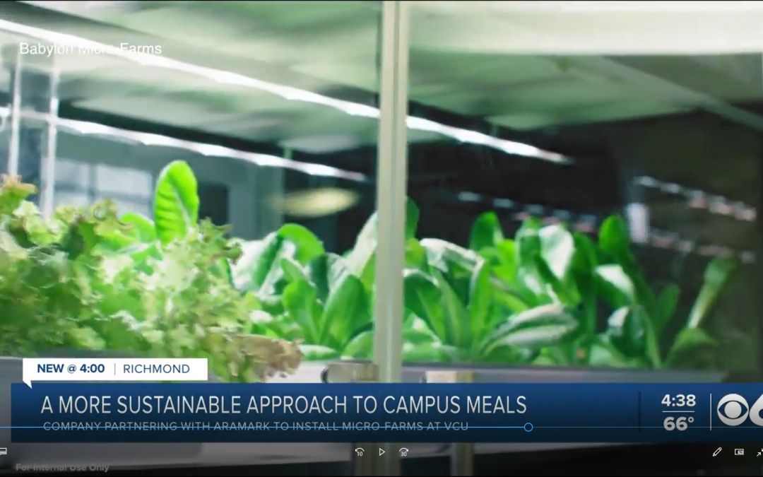 Babylon Featured on WTVR CBS-6
