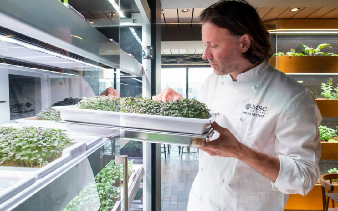 World Europa Chef