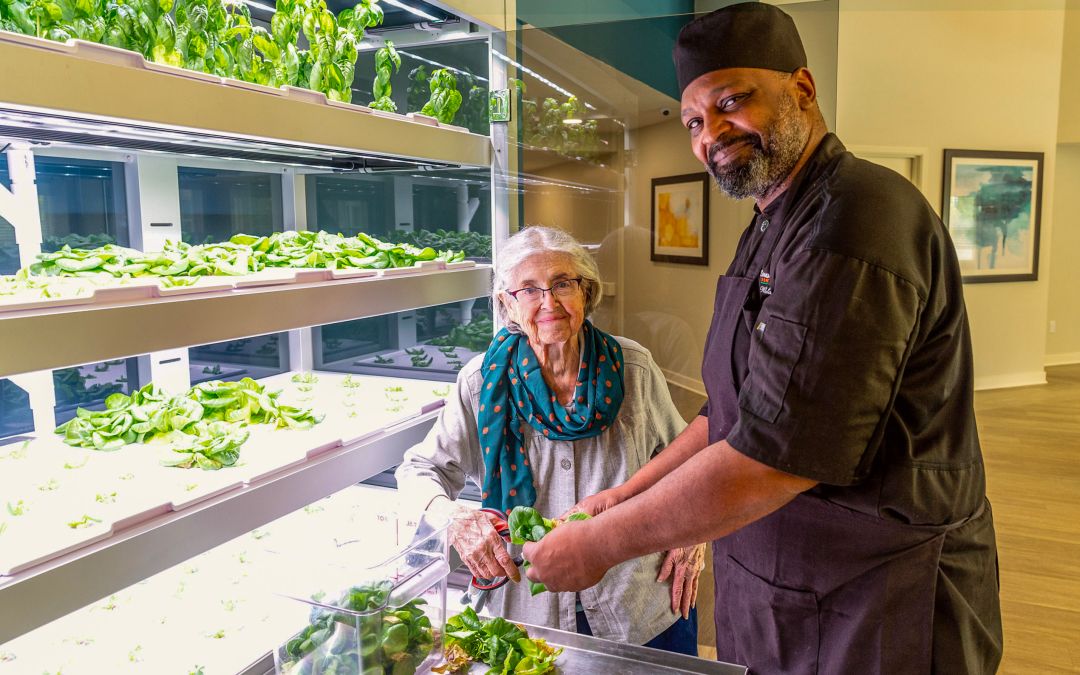 Babylon Micro-Farms and the Future of Food in Senior Living