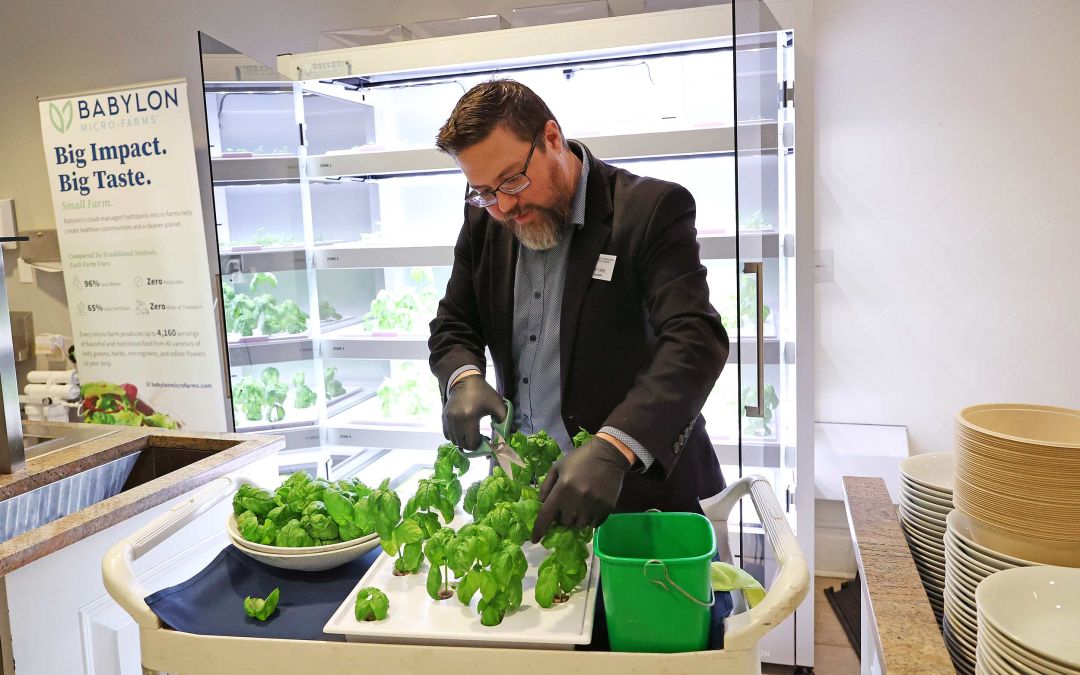 UVA Alums’ ‘Micro Farm’ Has Darden School Seeing Greens