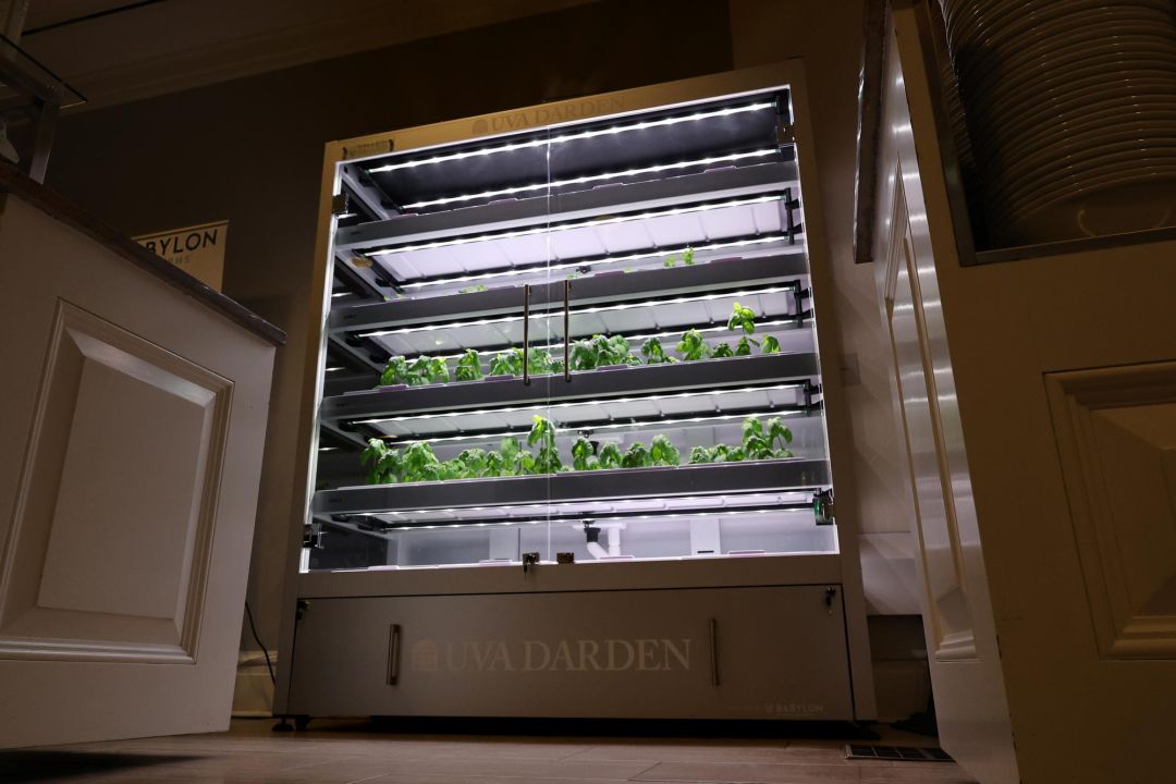 A Babylon Mini-Farm, developed by two UVA graduates, allows greens and herbs to be grown in the kitchen. (Photo by Matt Riley, University Communications)