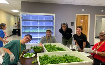 Sheltering Arms Program Puts a 21st-Century Twist on Gardening as Therapy