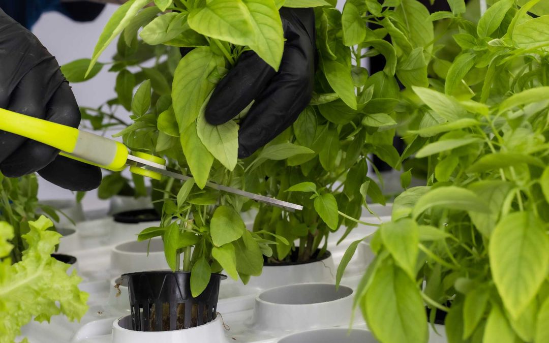 101 Best United States AgTech Startups – The Future of Farming