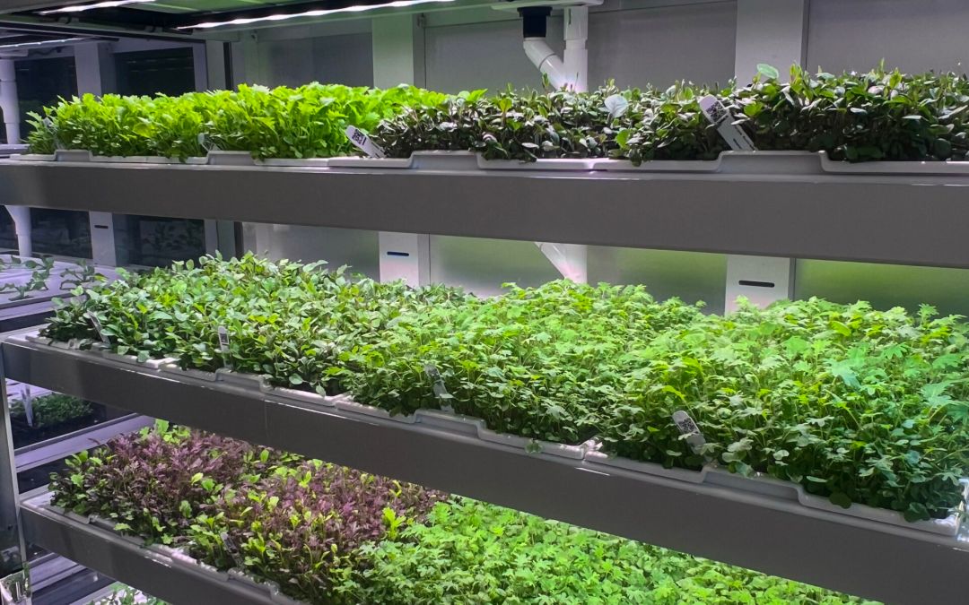 Babylon Micro-Farms Unveils Galleri Lite, a Game-Changer in High-Nutrition, Onsite Farming