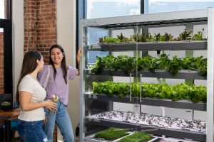 Students with a Galleri micro-farm