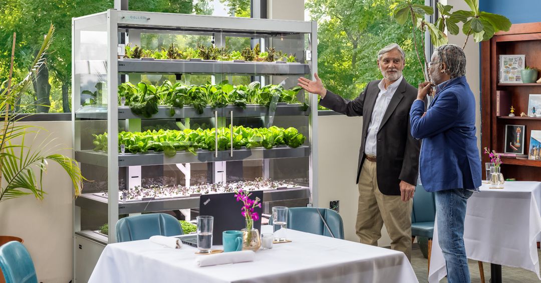 Galleri Micro-Farm by Babylon