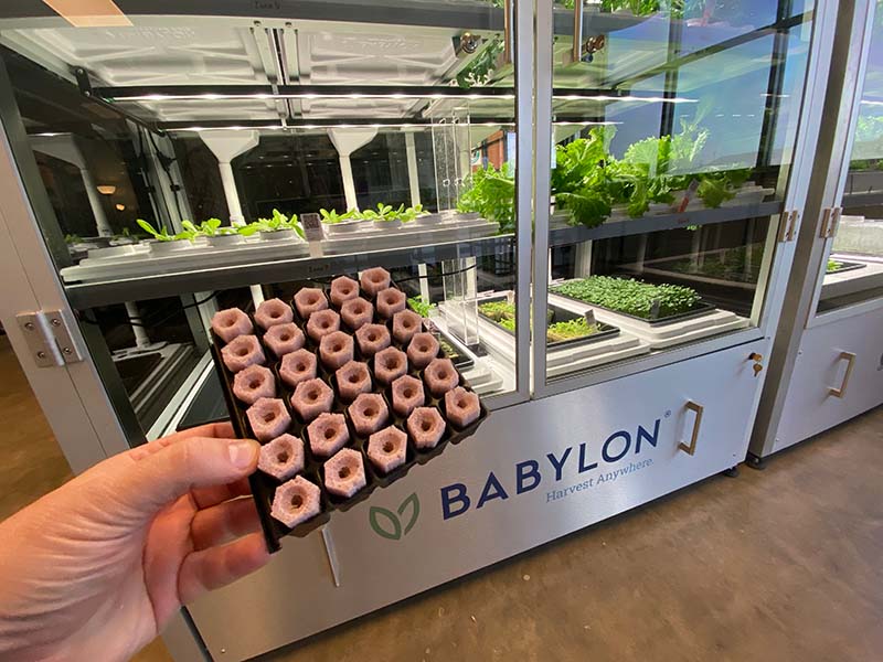 Babylon Partners With GROWFOAM®