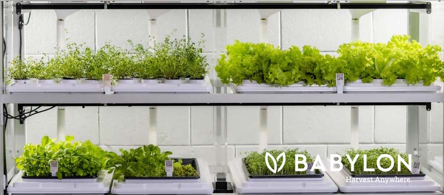 Innovation in vertical Farming