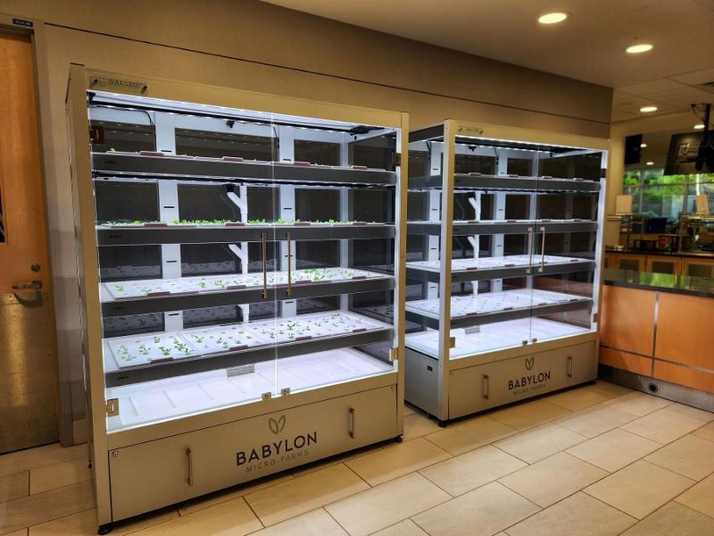 Mayo Clinic is bringing new meaning to ‘locally grown’