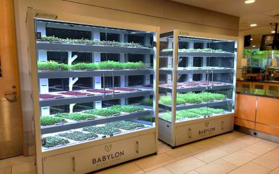 Are Micro-Farms the New Water Cooler? CEO Marc Oshima Makes a Compelling Case