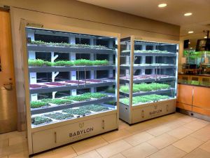 Two Galleri Micro-Farms