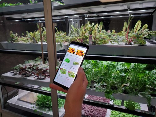 Plant The Seed For A Healthier Future