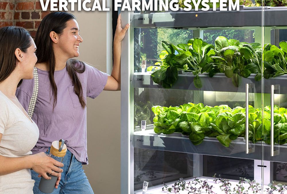 TechCrunch Features Babylon Micro-Farms
