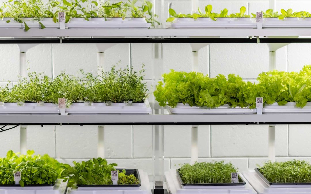 Grant awarded to distributed vertical farming platform